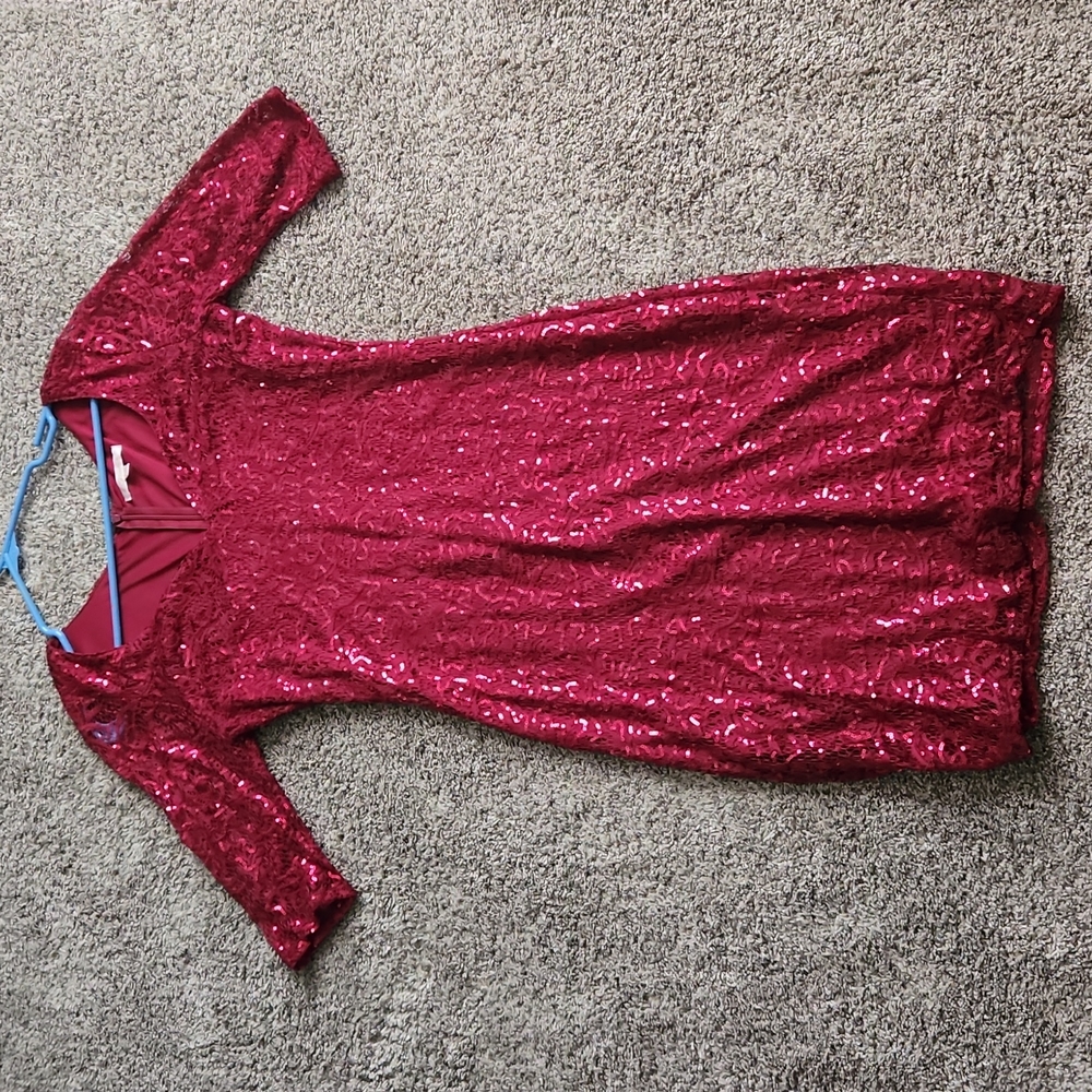 Elegant Seguin Dress
